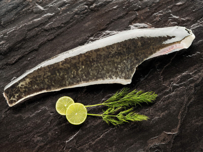 Frisches Wallerfilet mit Haut, ohne Bauch - Vorratsbox
